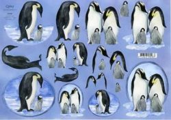 Pinguine QUINCY 098